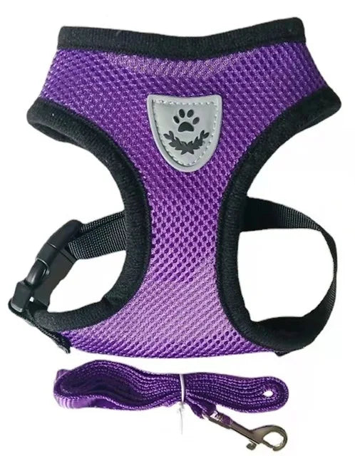 Arnés para perro y gato con correa, ajustable y reflejante - Morado / Extra grande/XL