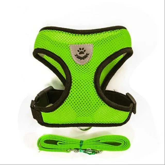 Arnés para perro y gato con correa, ajustable y reflejante - Verde / Extra grande/XL