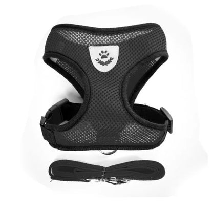 Arnés para perro y gato con correa, ajustable y reflejante - Negro / Extra grande/XL