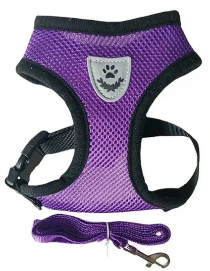 Arnés para perro y gato con correa, ajustable y reflejante - Morado / Extra grande/XL
