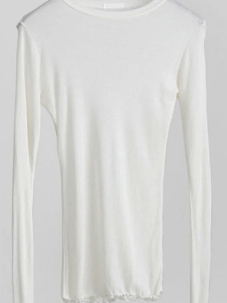 Camiseta Lisa de Manga Larga Transparente