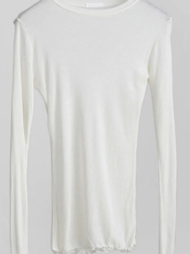 Camiseta Lisa de Manga Larga Transparente